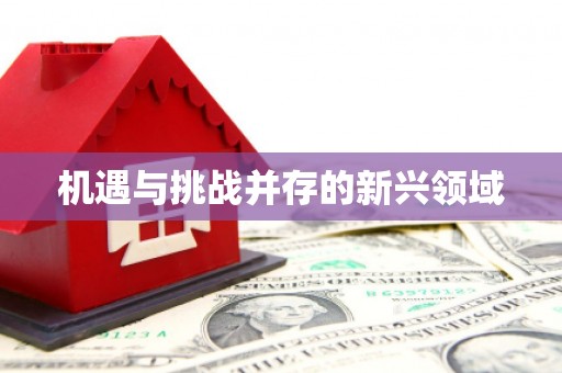 华宁机遇与挑战并存的新兴领域