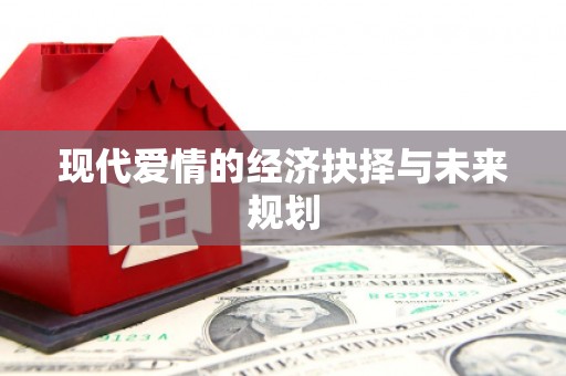 华宁现代爱情的经济抉择与未来规划
