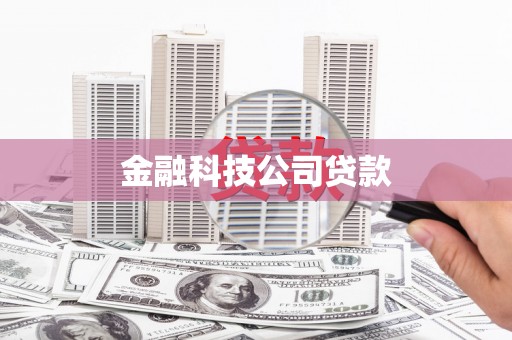 华宁金融科技公司贷款