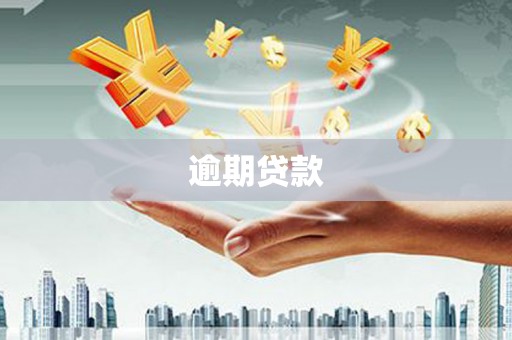华宁逾期贷款
