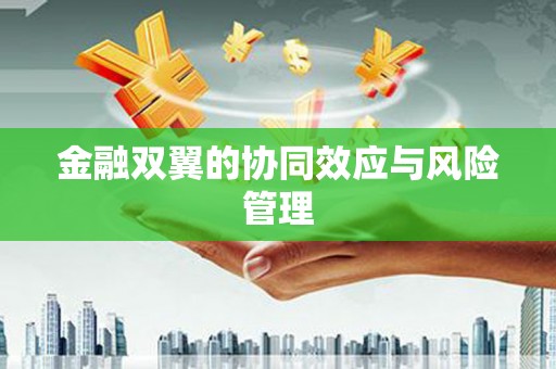 华宁金融双翼的协同效应与风险管理
