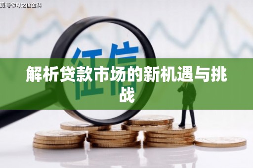 华宁解析贷款市场的新机遇与挑战