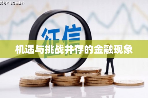 华宁机遇与挑战并存的金融现象