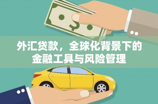 华宁外汇贷款，全球化背景下的金融工具与风险管理