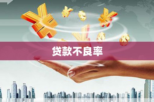 华宁贷款不良率