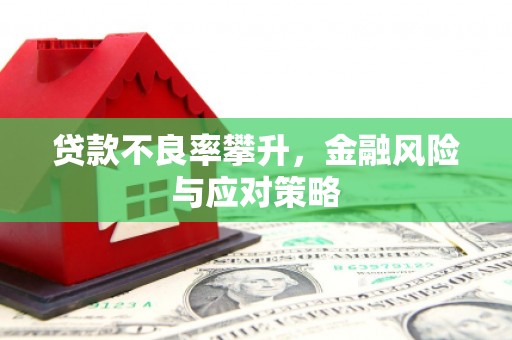 华宁贷款不良率攀升，金融风险与应对策略