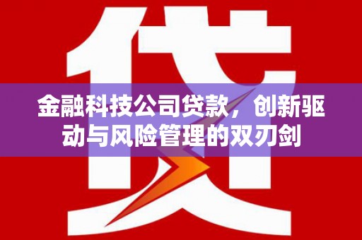 华宁金融科技公司贷款，创新驱动与风险管理的双刃剑